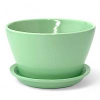 Кактусник Беллита глянец фисташк 12см  0,45л 913/1 