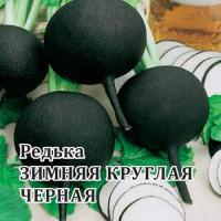 Редька Зимняя круглая черная 100 г