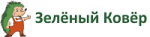 Зеленый ковер