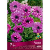 Анемона махровая Пинк (5/6) 10 шт 