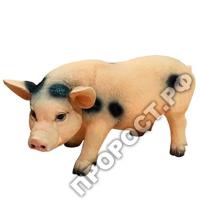 Свинья с пятнами 626318/F469