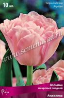 Тюльпан Махровый поздний Анжелика (11/12) 10 шт