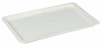 Поднос прямоугольный малый 43*25см 16016