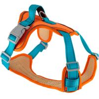 Шлейка нейлон L SPORT-2 с ручкой оранжево-голубая обх.груди 54-71см/01205565-63/Каскад