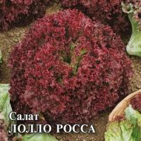 Салат Лолло Росса 10 г