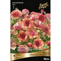 Лютик гибридный Батерфляй Муза /К 839679