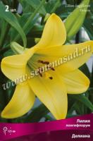 Лилия Лонгифлорум Делиана 