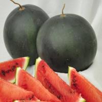 Арбуз Шуга Бейби 50 гр