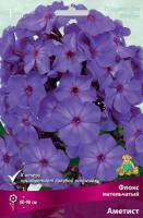 Флокс метельчатый Аметист