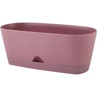 Кактусница 25см Амстердам 1,7л морозная слива с под. IG6203 /6шт/ПР