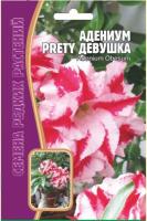 Адениум Прелестная Девушка 3 шт