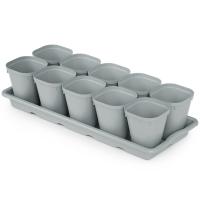 Рассадник набор 10*300мл с под. М8236 /10шт/ Альтерн