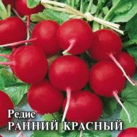 Редис Ранний красный 25 г