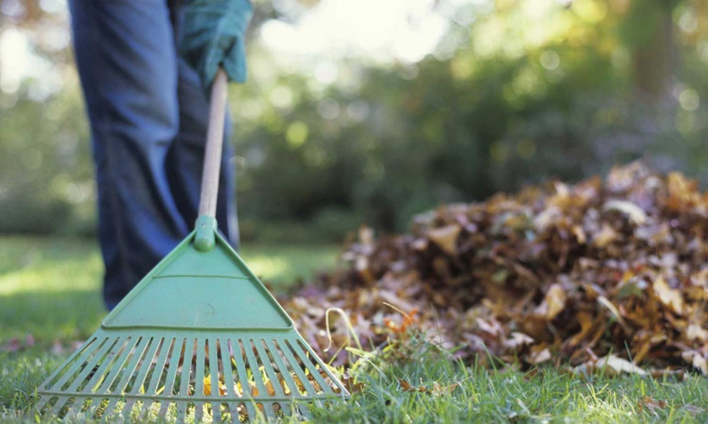 Расчистка-сада.jpg Расчистка-сада.jpg