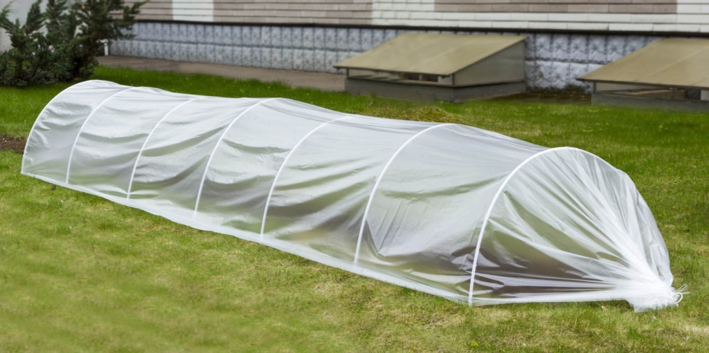 парник осенью.jpg парник осенью.jpg