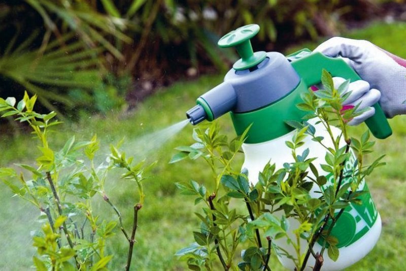 средства защиты растений