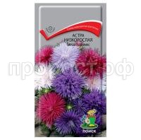 Астра-низкорослая-Тиеса-стар-микс-0,2г-Поиск