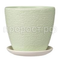 Гнездо зел. мр