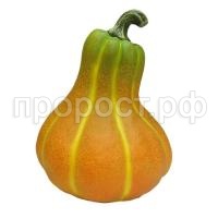 тыква выт тыква выт