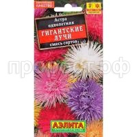 астра гиган.лучи1 астра гиган.лучи1