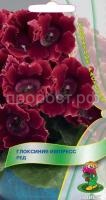 Глоксиния Импресс Ред
