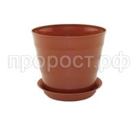 лаура с под (6) лаура с под (6)