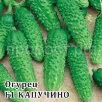 Огурец Капучино F1 100 шт Огурец Капучино F1 100 шт