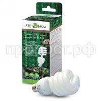 558d62c26440b 558d62c26440b