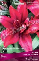 НоменклатураПрисоединенныеФайлы НоменклатураПрисоединенныеФайлы