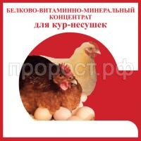 БВМК КУРЫ НЕСУШКИ БВМК КУРЫ НЕСУШКИ