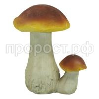 гриб 542 гриб 542