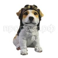 щенок авиатор