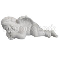 спящий белый спящий белый