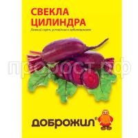 свекла цилиндра свекла цилиндра