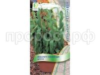 эвкалипт эвкалипт