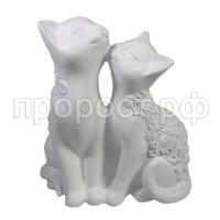 кот и кошка бел кот и кошка бел