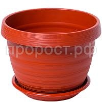 П131704_0 П131704_0