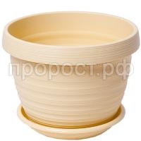 П131707_0 П131707_0