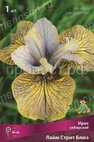 3n05nyfsluqao7ks5fglq1pflk367lah 3n05nyfsluqao7ks5fglq1pflk367lah