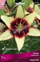 НоменклатураПрисоединенныеФайлы НоменклатураПрисоединенныеФайлы