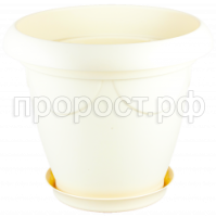 верона 13 пес верона 13 пес