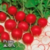 Редис Жара 500г