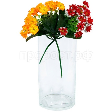 Ваза Цилиндр проз L200 90-100 