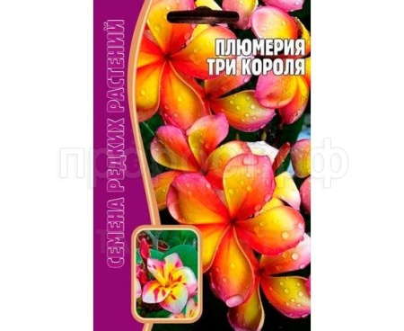 Плюмерия Три Короля 3 шт